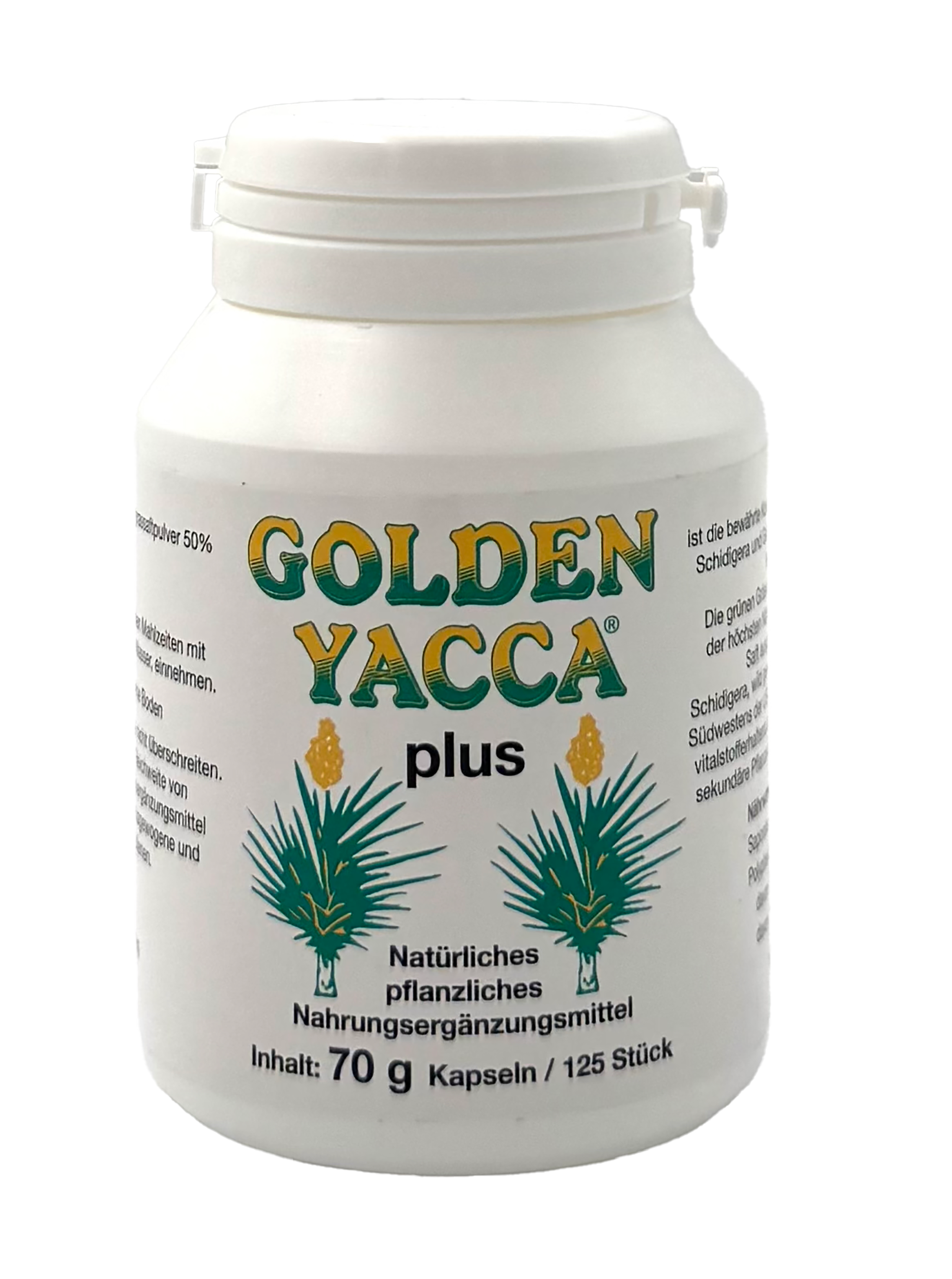 Golden Yacca plus