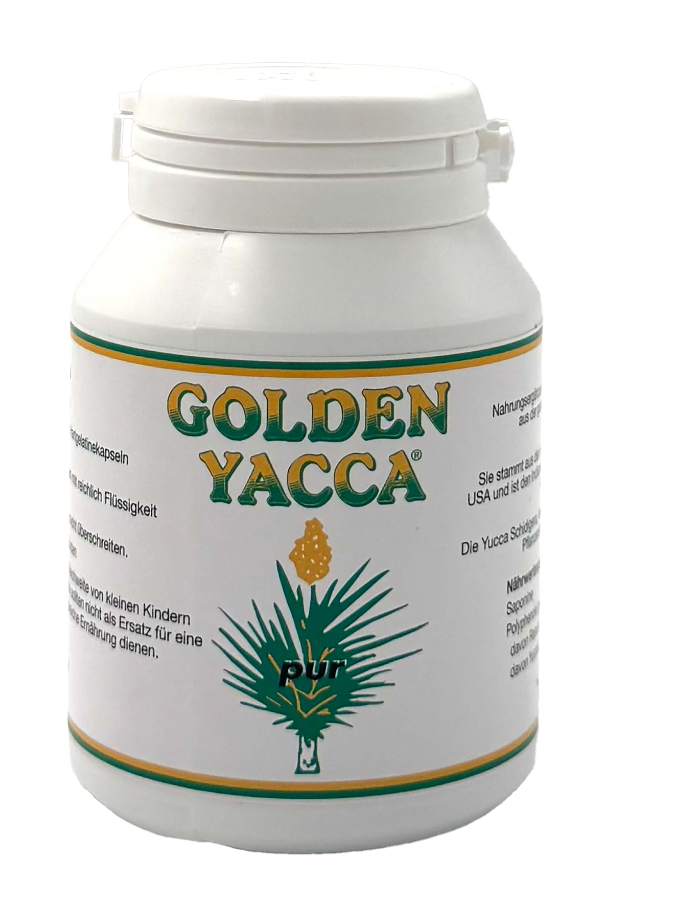 Golden Yacca pur