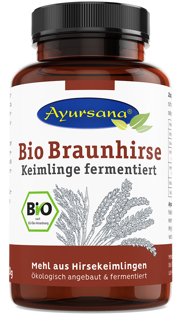 Braunhirse Keimlinge fermentiert (BIO)